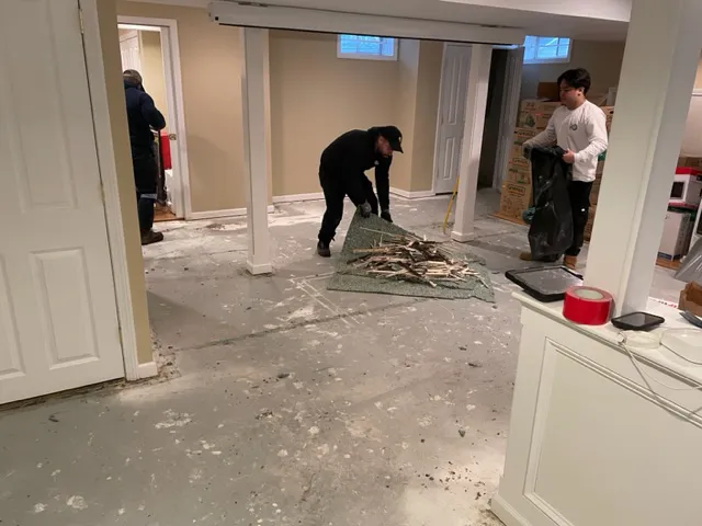 All Dry Services of Connecticut Picture 5