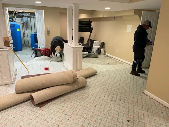 All Dry Services of Connecticut Picture 2