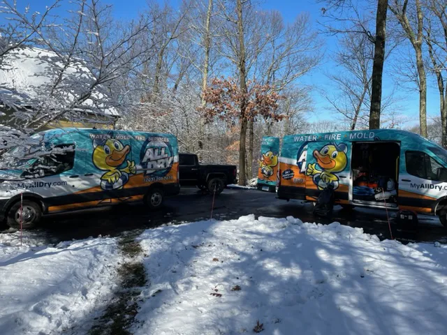 All Dry Services of Connecticut Picture 10