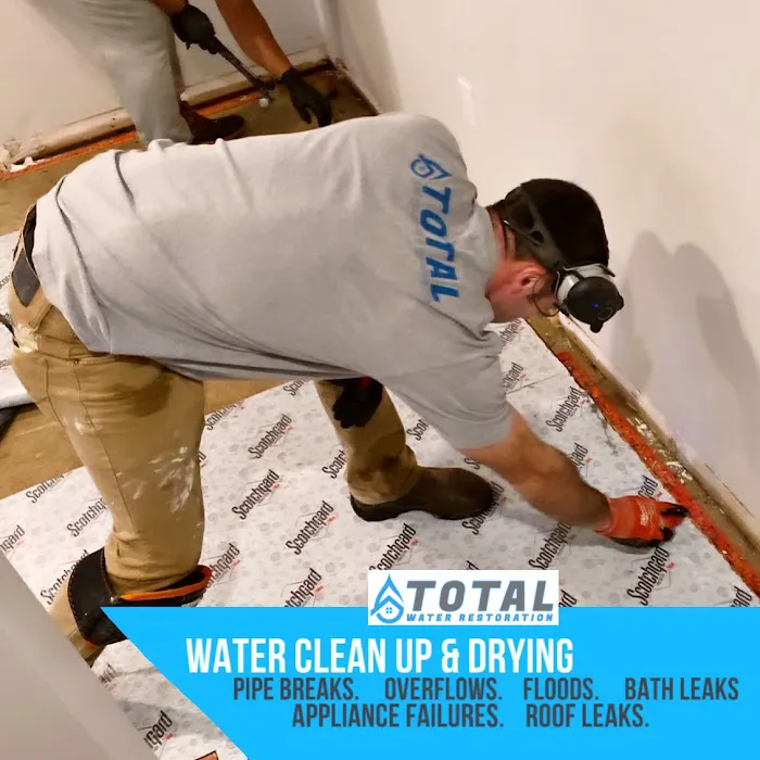 Total Restoration Picture 6