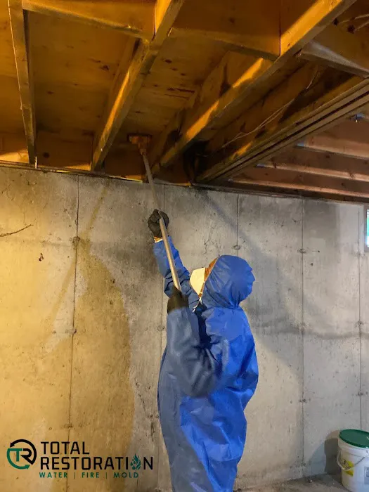 Total Restoration Picture 4