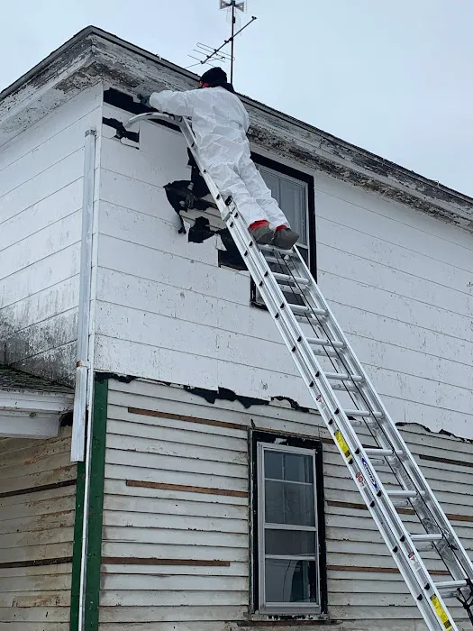 Anthony's Abatement Picture 8