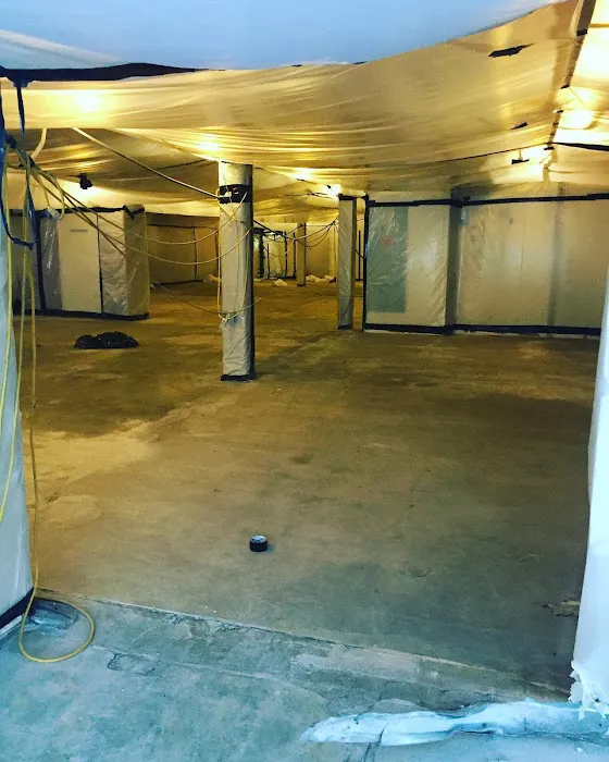 Anthony's Abatement Picture 9