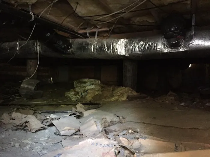 Coast is Clear NJ LLC Picture 9