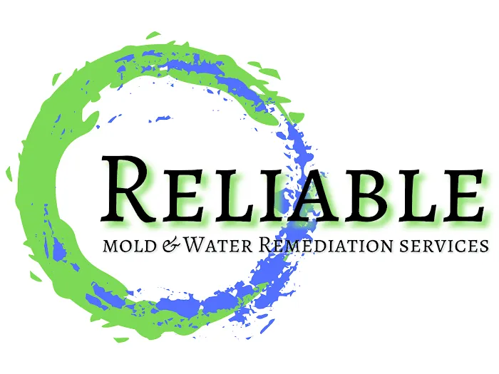 Reliable Mold and Water Remediation Services Picture 1