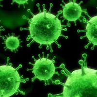 Advanced Group, LLC ico