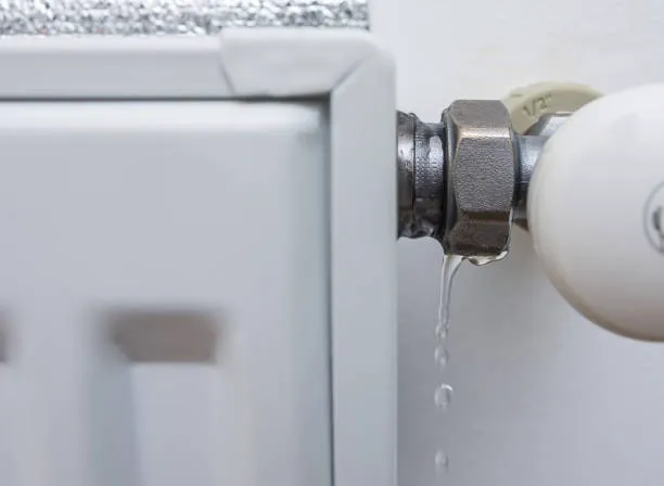 Judith'S Sewell NJ Picture 1