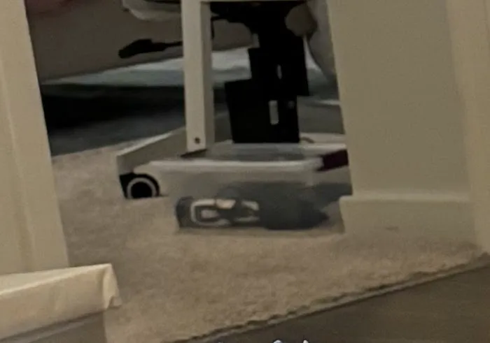 Peerless Carpet Care and Restoration Service Picture 1