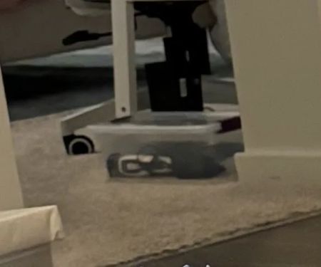 Peerless Carpet Care and Restoration Service