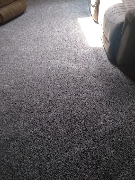 Pro Clean Cleaning & Restoration Picture 9