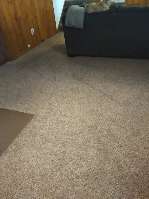 Pro Clean Cleaning & Restoration Picture 4