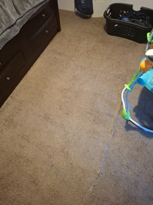 Pro Clean Cleaning & Restoration Picture 3