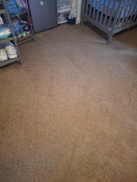 Pro Clean Cleaning & Restoration Picture 5