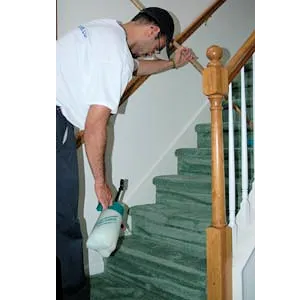 Pro Clean Cleaning & Restoration Picture 10