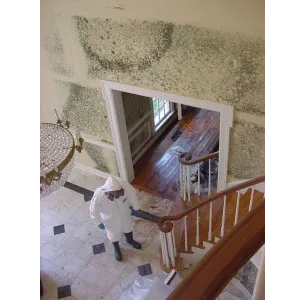 Pro Clean Cleaning & Restoration Picture 8