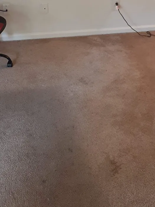 Dycarp, LLC Picture 7