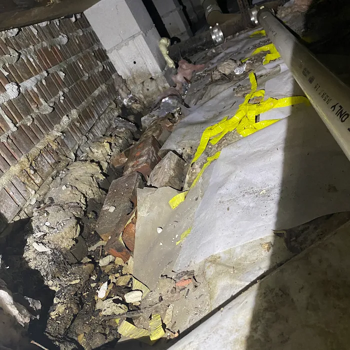 Crawlspace Medic Picture 2