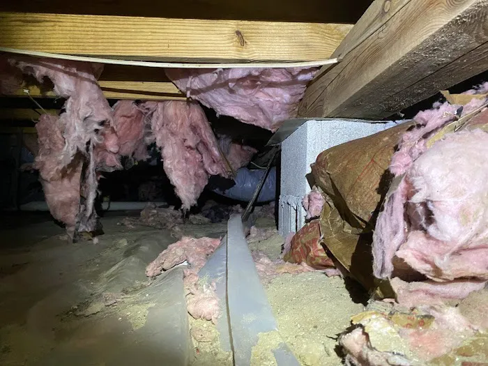 Crawlspace Medic Picture 3