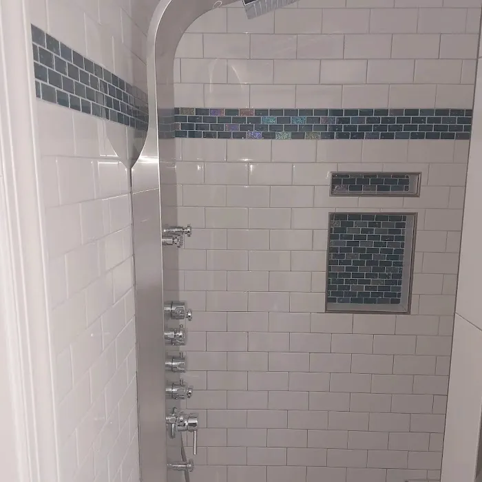 Hampton Roads Home and Commercial Services Picture 8