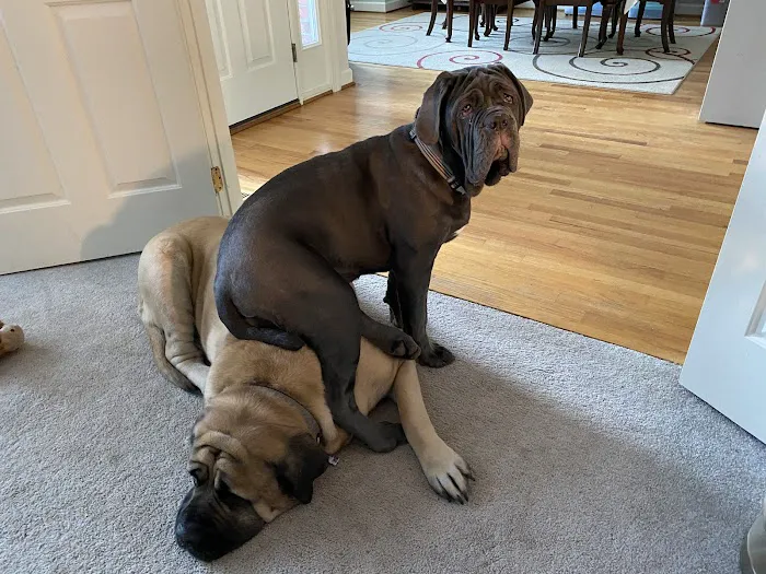 911 Restoration of Virginia Beach Picture 3