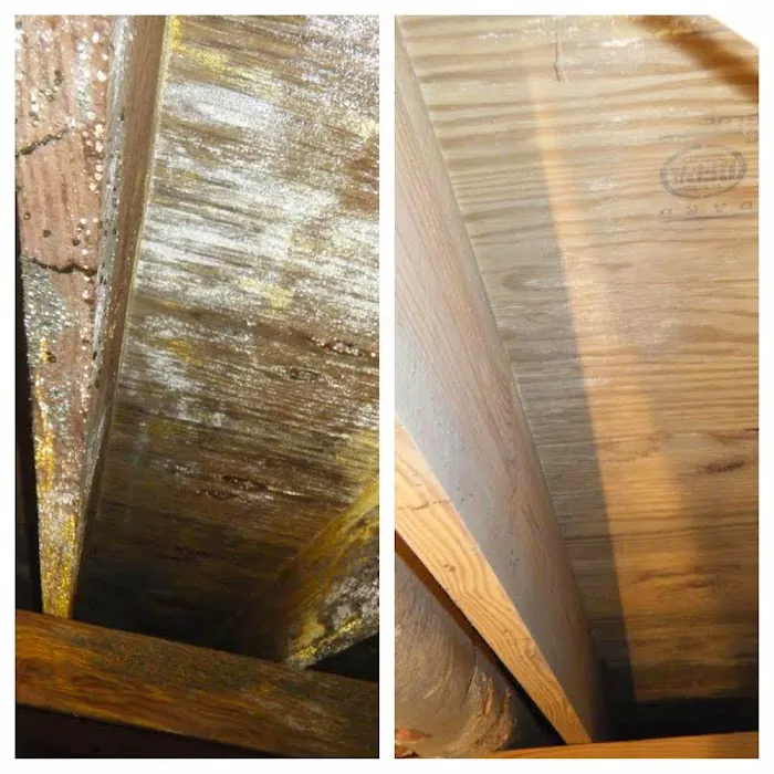 Solutions LLC Picture 1