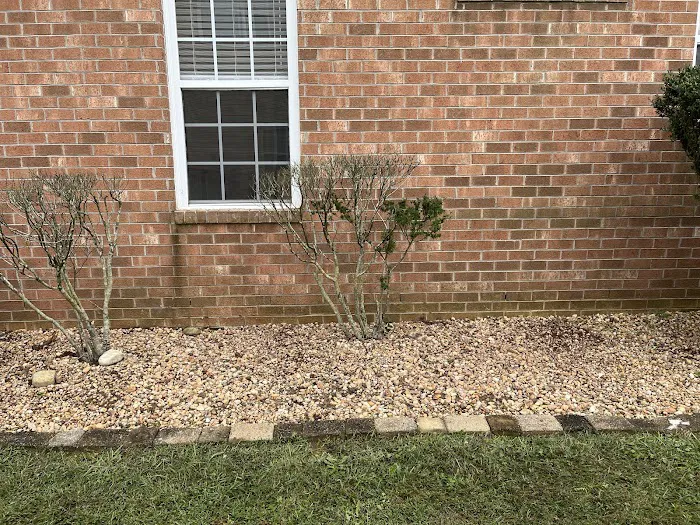 AMC911 Crawl Space & Foundation Repair Picture 4