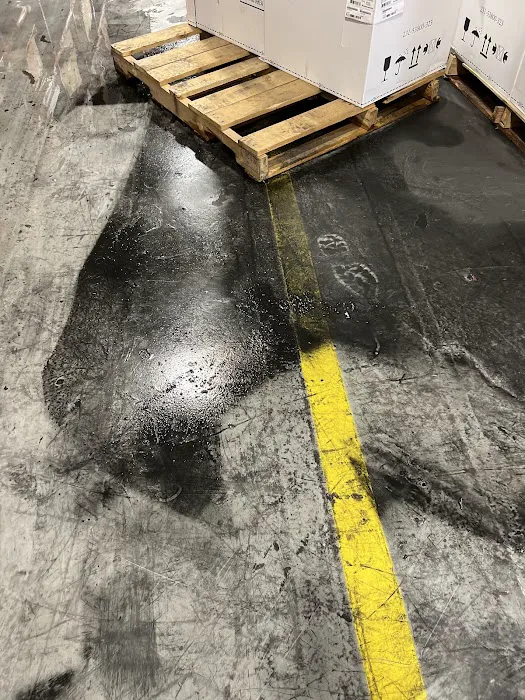 Monster Clean Picture 9