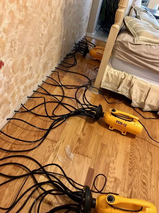 Spotless Solutions Picture 2