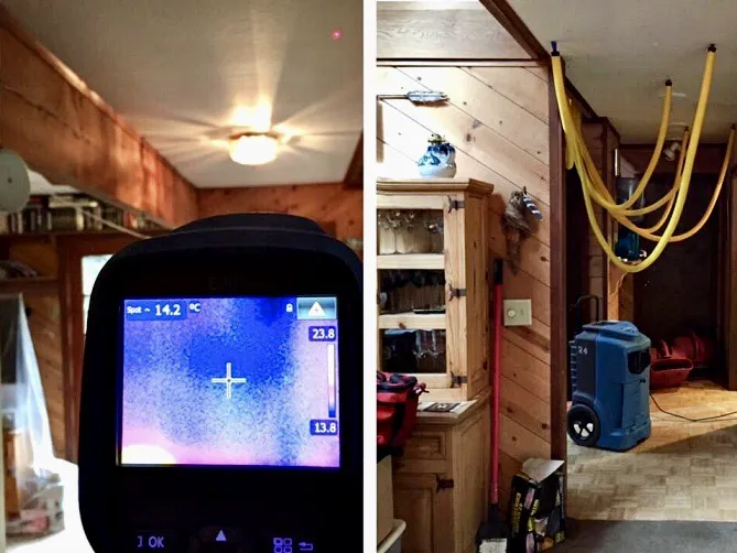 Spotless Solutions Picture 3