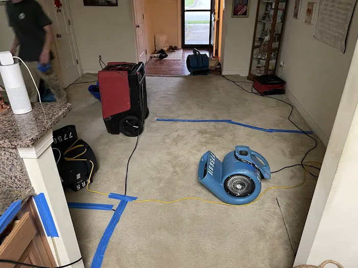 Coastal Restoration & Construction Picture 7