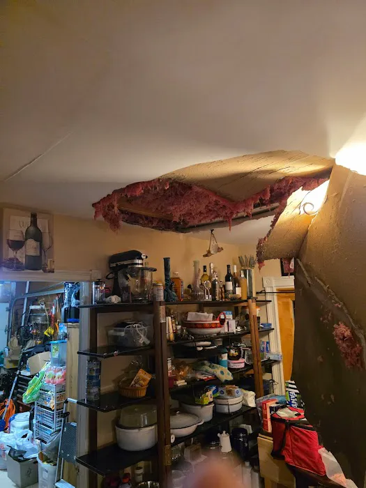 Coastal Restoration & Construction Picture 3