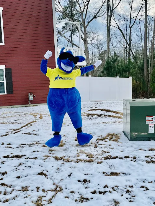 Blue Kangaroo Packoutz Chesapeake/Norfolk Picture 4