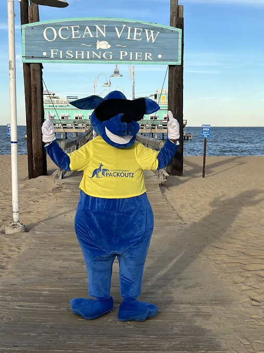 Blue Kangaroo Packoutz Chesapeake/Norfolk Picture 3