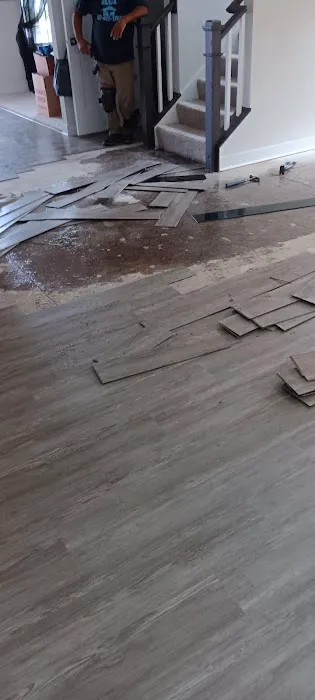 Icon's Professional Carpet Care and water restoration Picture 7