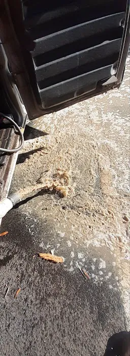 Icon's Professional Carpet Care and water restoration Picture 4