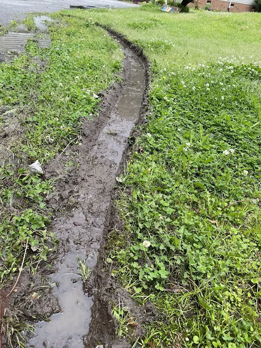 Michael & Son Services Picture 4