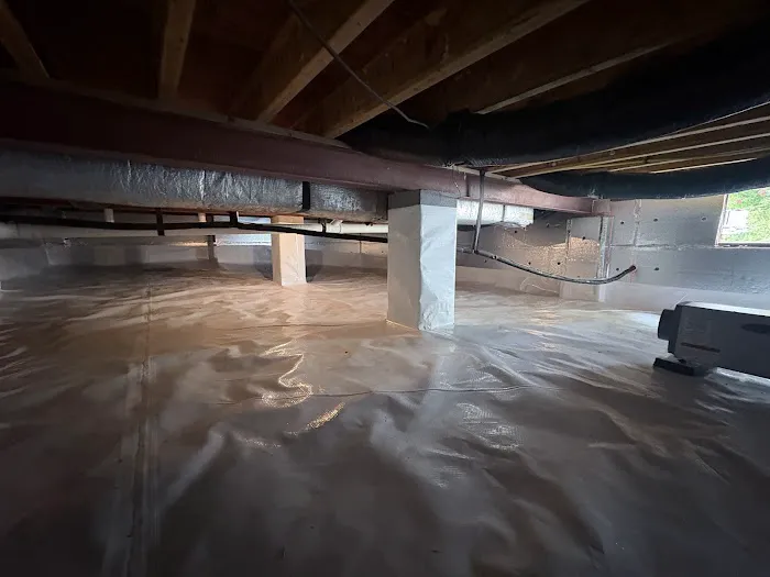 Master Kleen Picture 1