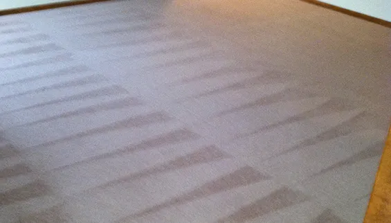 Restore Cleaning Solutions Picture 8