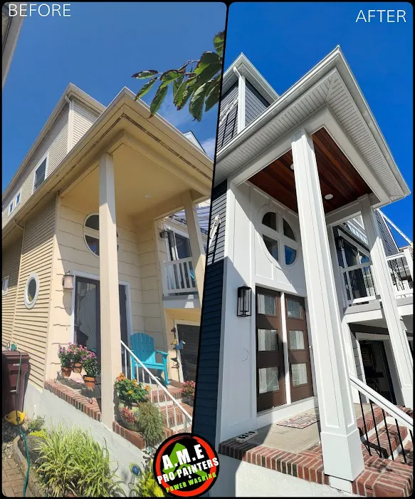 AME Pro Painters & Power Wash LLC. Picture 8