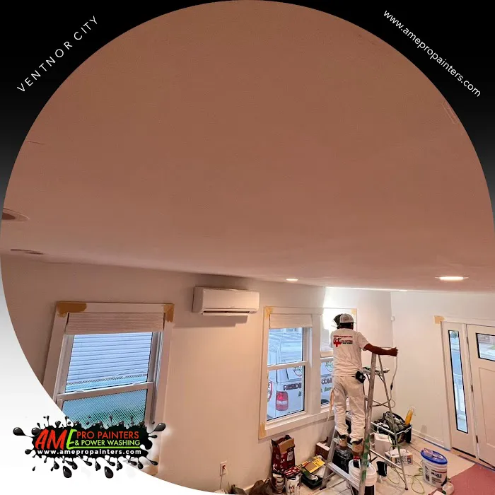 AME Pro Painters & Power Wash LLC. Picture 5