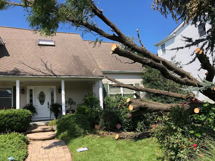 Lacovara Public Adjusters Picture 9