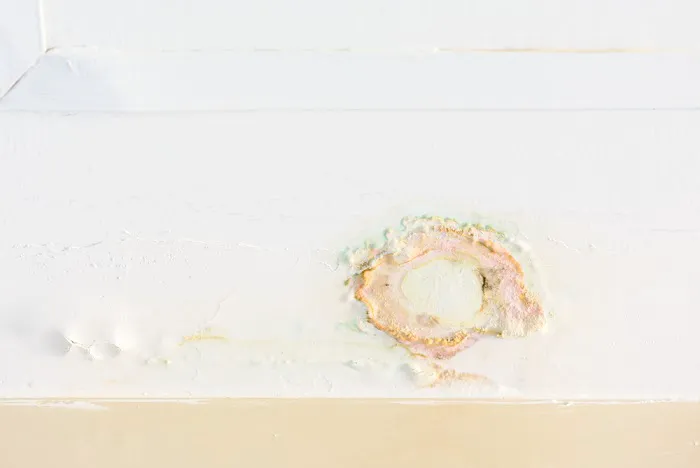 Blue Planet Picture 3