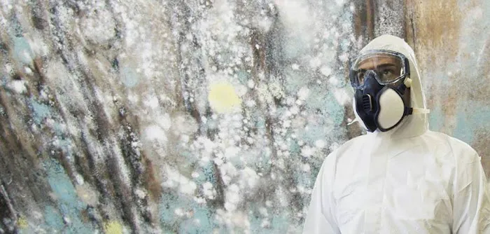 KPM Restoration VT Picture 3