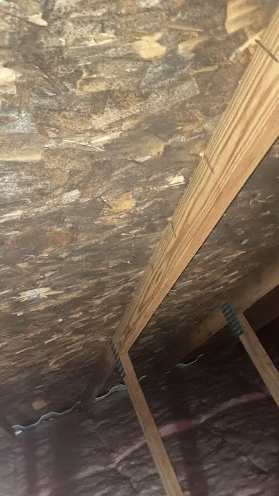 KPM Restoration VT Picture 2