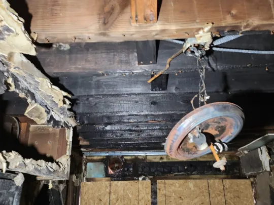 Golden Touch specialist NYC Picture 8