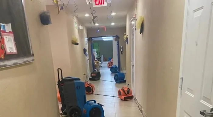 Golden Touch specialist NYC Picture 1