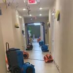 Golden Touch specialist NYC