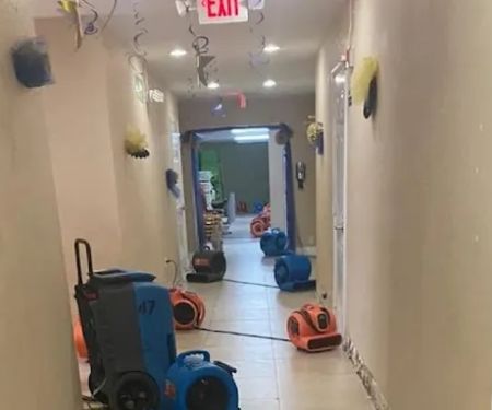 Golden Touch specialist NYC