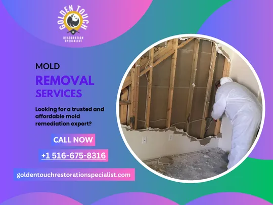 Golden Touch specialist NYC Picture 7