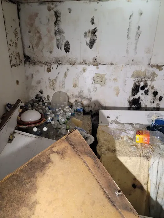 Golden Touch Restoration Specialist LLC Picture 4